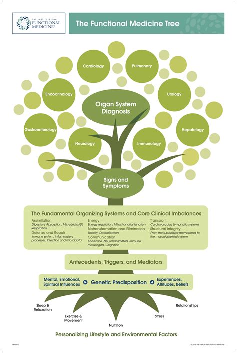 Ifm functional medicine - Functional Medicine Considerations FMT and probiotics may be considered as adjunctive therapies for CDI treatment and prevention under certain circumstances, although research continues to evolve. A balanced symbiosis of the gut microbiota is closely associated with human health, and as a clinician, you can help your patients restore a …